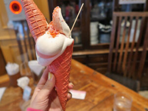 すいちゃん吹ちゃん吹チャン吹田　関大前　バリ　異国カフェ　バリ料理　ソフトクリーム　アイス　カフェ　ランチ　テイクアウト　犬連れ可　ケーキ　スイーツ　