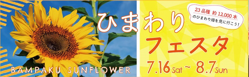 万博記念公園 イベント情報 ひまわりフェスタ22 が今年も開催されます キッチンカーが週末限定でやってくる V 吹チャン