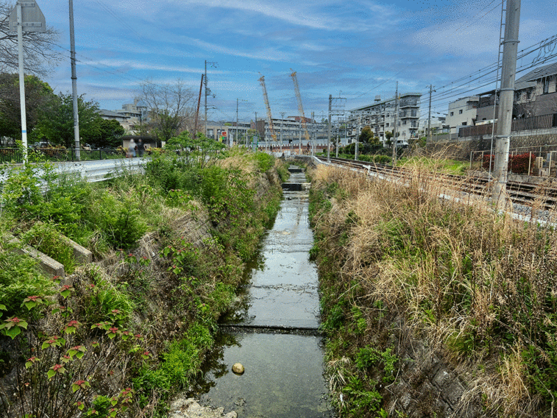 吹田箕面線・吹田市垂水上池公園付近道路