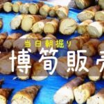 【4月6日～20日の月・水・金に開催！】“当日朝掘り”の「万博たけのこ」販売イベント！＠万博記念公園