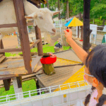 【4/26（日）入場無料！移動動物園やキッチンカーもやってくる！】オープンキャンパスと学園祭が合体したSEIKEI EXPO@大阪成蹊大学